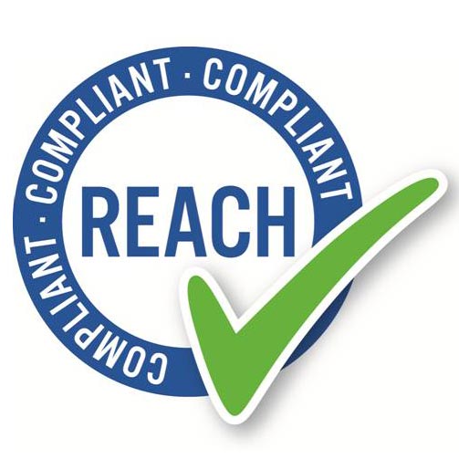 REACH logo